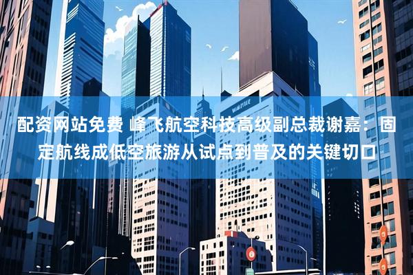 配资网站免费 峰飞航空科技高级副总裁谢嘉：固定航线成低空旅游从试点到普及的关键切口