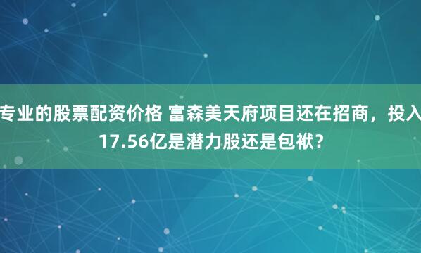 专业的股票配资价格 富森美天府项目还在招商，投入17.56亿是潜力股还是包袱？