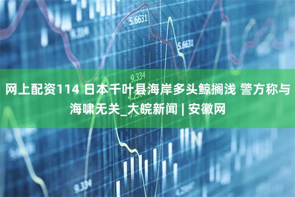 网上配资114 日本千叶县海岸多头鲸搁浅 警方称与海啸无关_大皖新闻 | 安徽网
