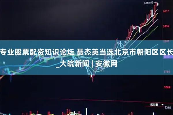 专业股票配资知识论坛 聂杰英当选北京市朝阳区区长_大皖新闻 | 安徽网